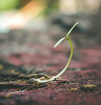 Medición de Huella de Carbono